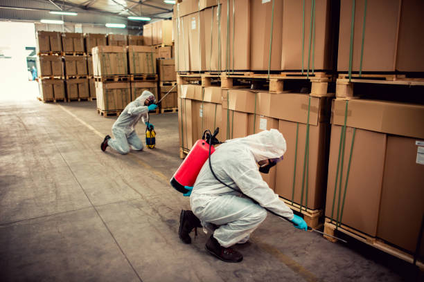 Best Cockroach Control Services  in Mauston, WI