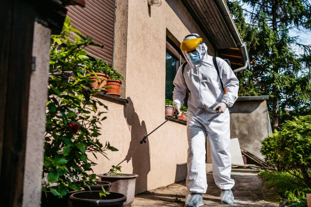 Best Affordable Exterminators  in Mauston, WI