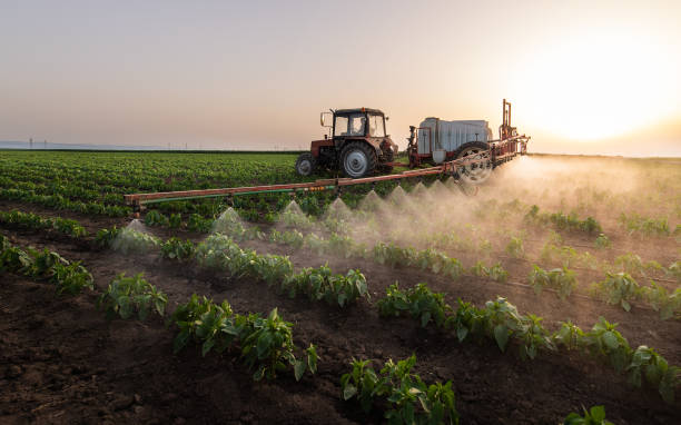 Professional Pest Control in Mauston, WI