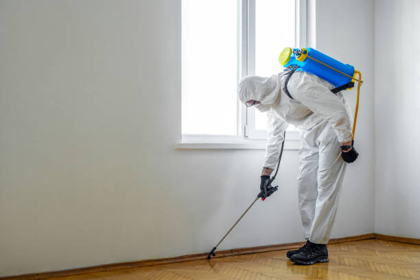 Best Wildlife Control Services  in Mauston, WI