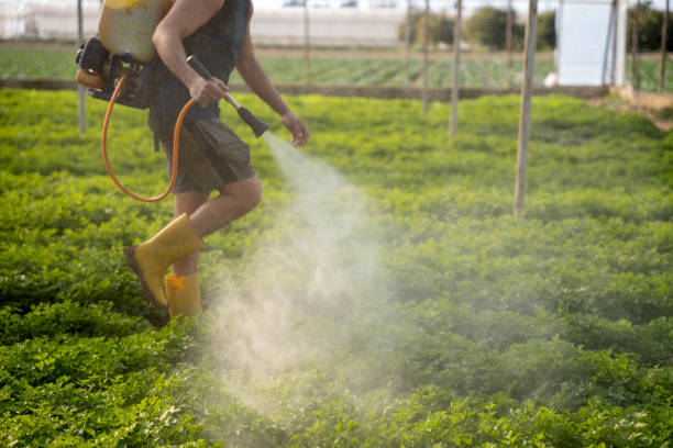 Best Affordable Pest Control Services  in Mauston, WI