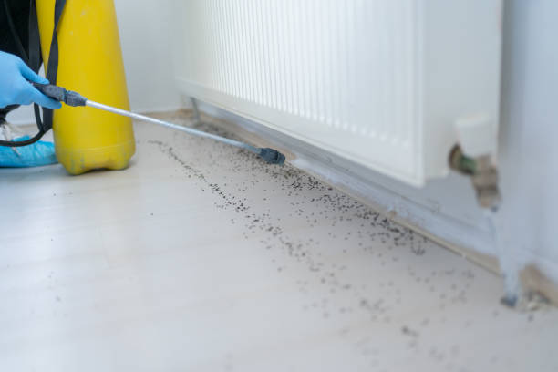 Best Rat Extermination Near Me  in Mauston, WI