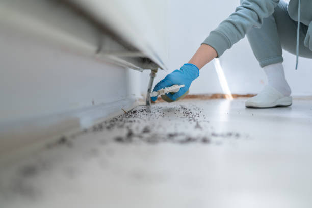 Best Affordable Pest Control Services  in Mauston, WI